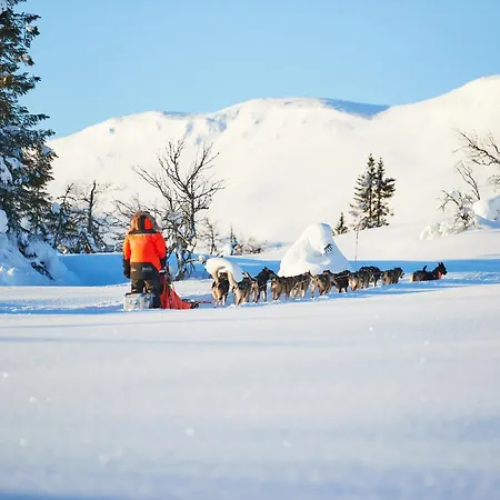 Spatind Fjellhotell فندق 3*
