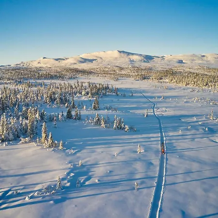 Spatind Fjellhotell Nord Torpa