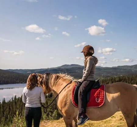 Spatind Fjellhotell Nord Torpa