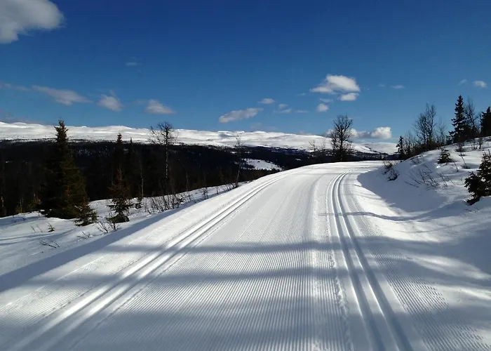 Hotel Spatind Fjellhotell 3*