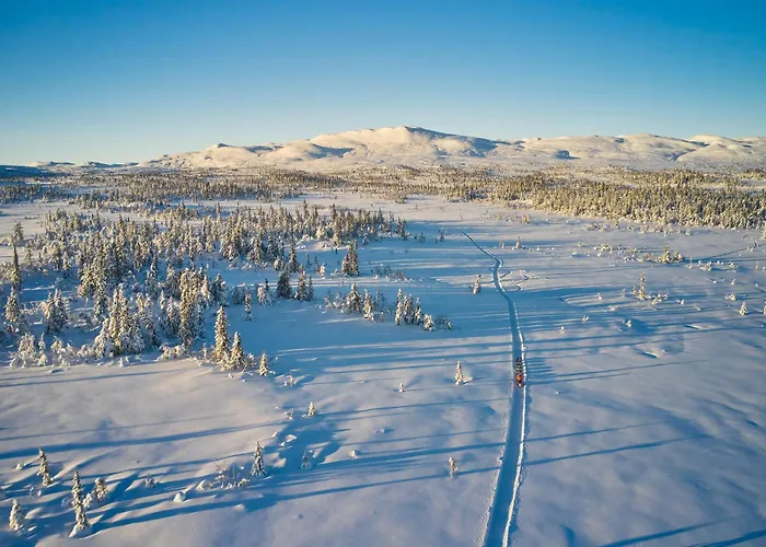 Spatind Fjellhotell Nord Torpa
