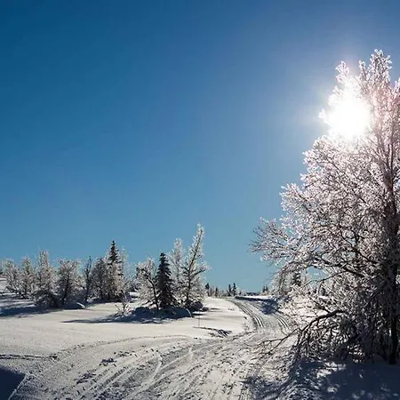Hotel Spatind Fjellhotell Nord Torpa
