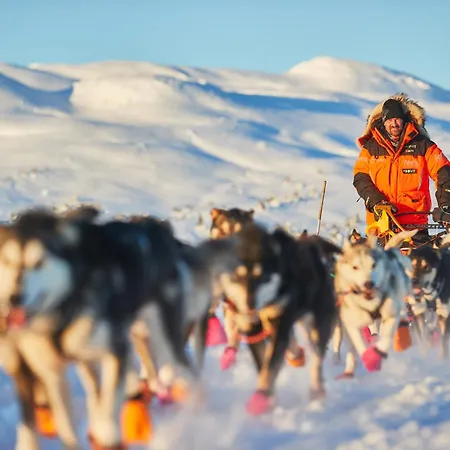 Spatind Fjellhotell Nord Torpa